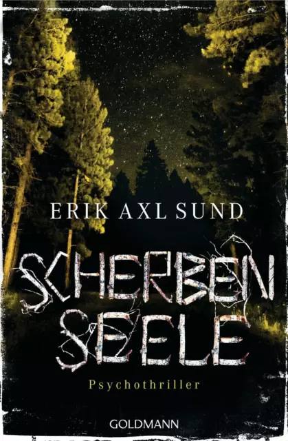 Scherbenseele von Erik Axl Sund (2015, Taschenbuch)