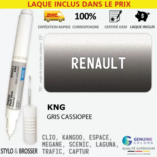 Exterior Roof KNG Gray Stylo Retouche Peinture pour Renault KNG Reparation Stylo