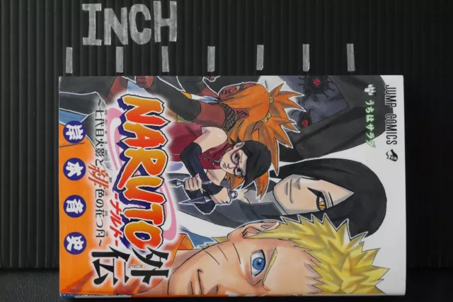 JAPAN Masashi Kishimoto manga: Naruto Gaiden 2