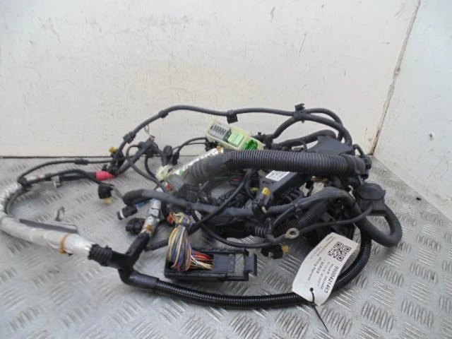 Cablaggio telaio motore diesel BMW 1 Serie F20 2.0 859528406 2015-2019