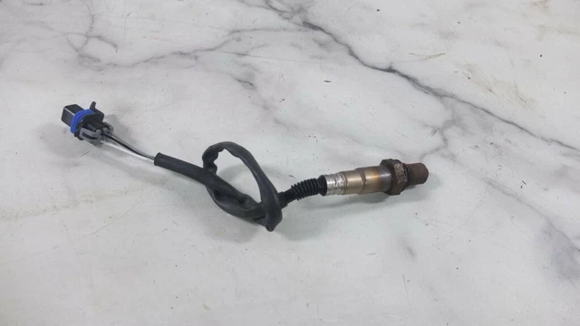 cam am ryker 600