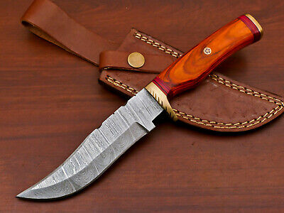 Hand Forged Damascus Steel Hunting Knife - Hard Wood Handle - Aw-4774