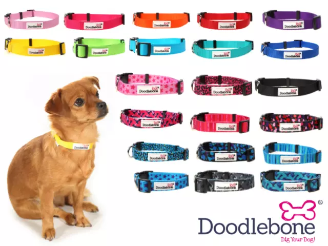 Doodlebone Bold Nylon Dog Puppy Collars - 11 colours to choose from