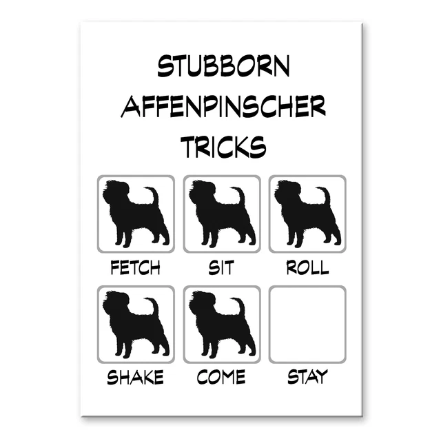 AFFENPINSCHER Stubborn Tricks FRIDGE MAGNET Dog AFFENPINSCHER Stubborn Tricks FRIDGE MAGNET Dog