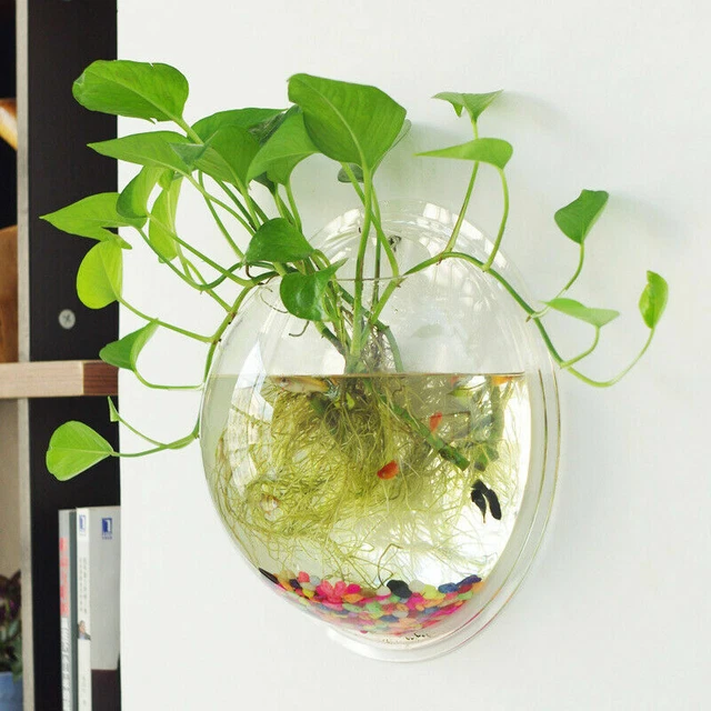 Acrylic Wall Mounted Hanging Fish Bowl Aquarium Tank Goldfish Hanger Plants Arts 3