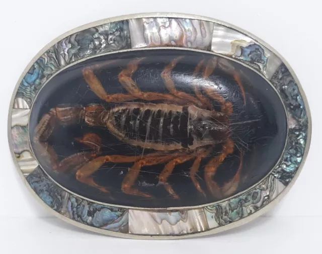 Vintage Real Genuine Scorpion Abalone Shell With Lucite Belt Buckle
