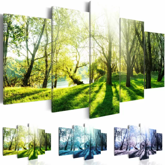 Vlies Leinwandbild Natur Bäume Wald Park Landschaft Wandbilder XXL 5 tlg Bilder