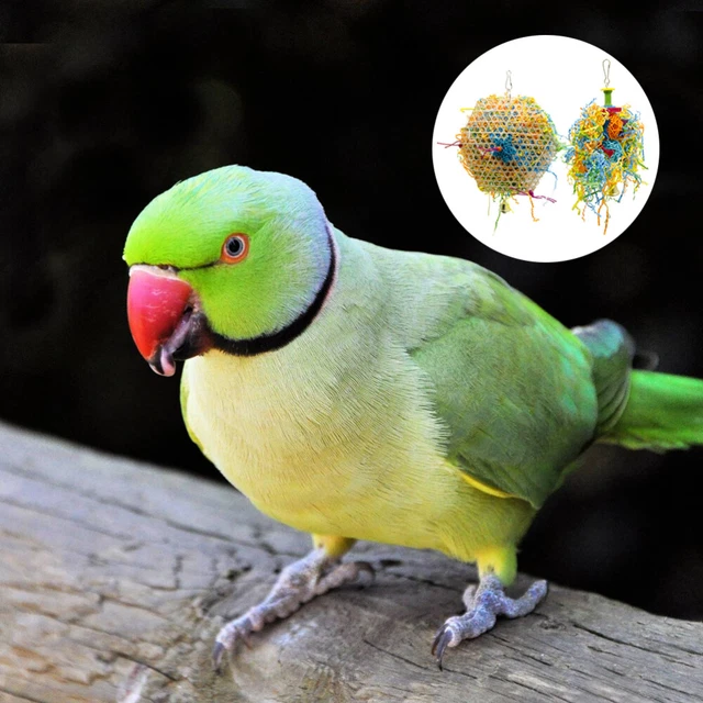2PCS Parakeet Chewing Toys toy Pet Vogel Futtersuche Spielzeug Papagei Käfig Nah