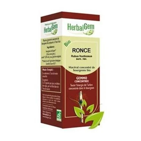 GEMMOBASE Ronce