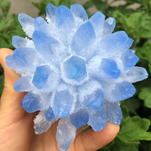 New Find Blue Phantom Quartz Crystal Cluster Mineral Specimen Healing 500g+/1pcs