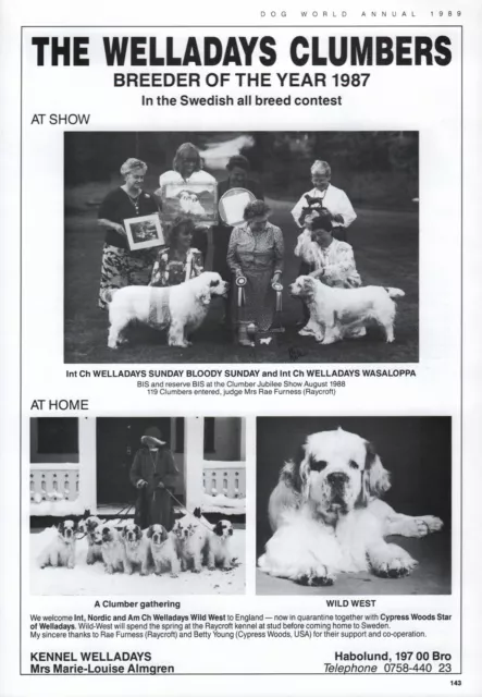 Clumber Spaniel Dog Breed Kennel Advert Print Page Dog World 1989 Welladays