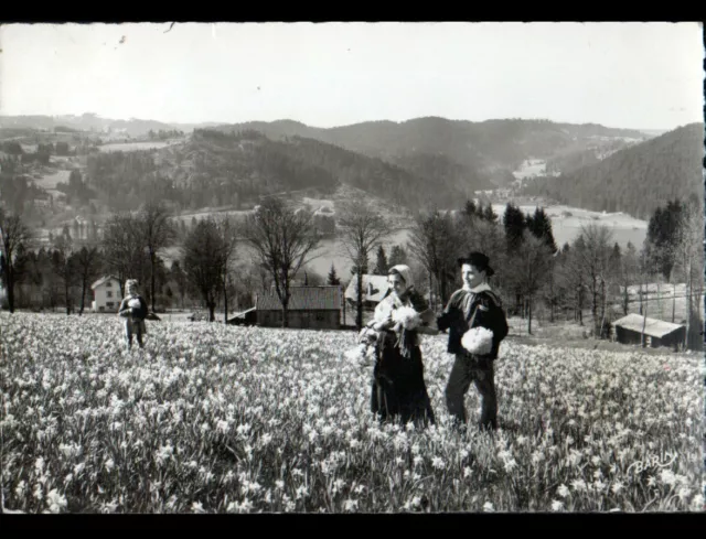 GERARDMER (88) VILLAS & ENFANTS costumés à la CUEILLETTE des JONQUILLES en 1956