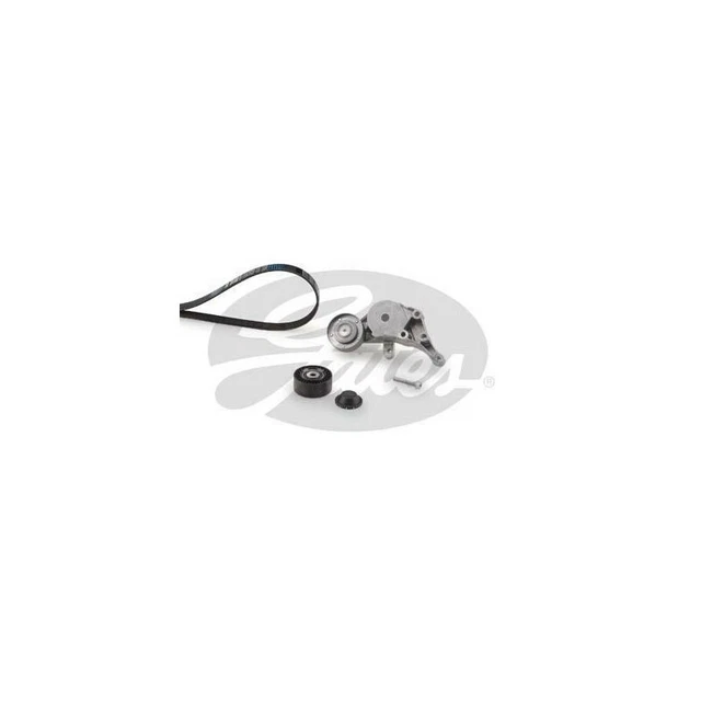 Kit de courroie d'accessoire Audi A3, Seat : Cordoba, Ibiza, Leon, Skoda O
