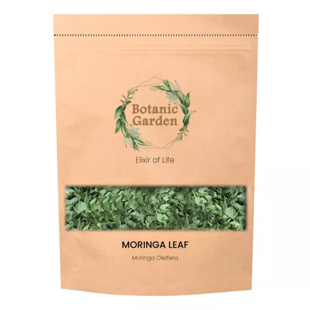 Moringa cru de jardin botanique ou herbe de Moringa oleifera 100% herbe...