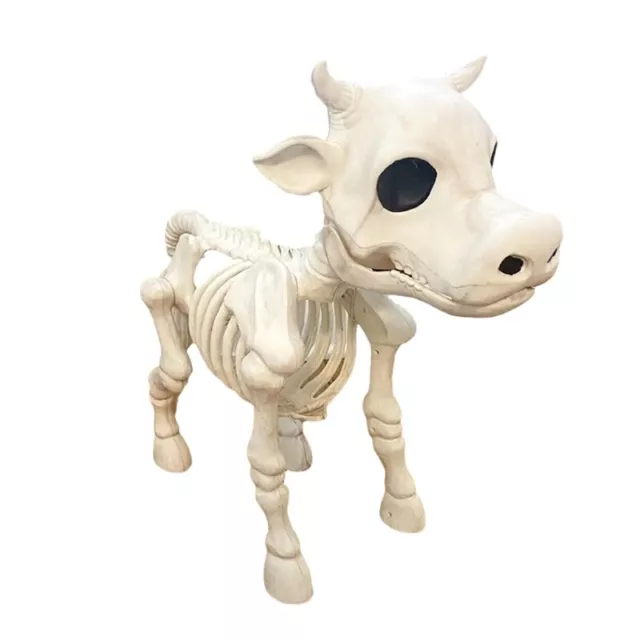 Crâne de Vache Halloween Squelette Hanté Décoration D'Halloween O8Y78040