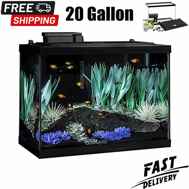 Aquarium 20 Gallon Glass Fish Tank Kit with LED Lighting and Decor Rectangular