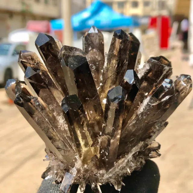 343g  New Find Black Phantom Quartz Crystal Cluster Mineral Specimen Healing