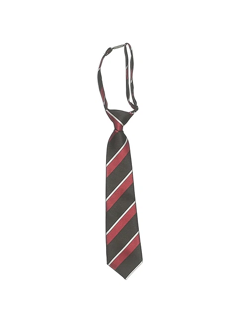 The Children's Place Boys Red Necktie 24 Months