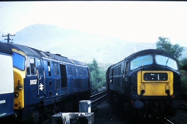 35MM COL/SLIDE 2 X Class 21 NBL D6137/6112 Passing Arisaig Circa ~1968 ...