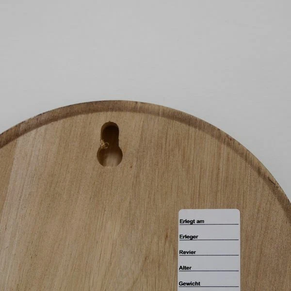 5 Pieza Placa de Jabalí Tablero Keiler Gewaffbrett Escudo Trofeo Ronda Oscuro Af 3