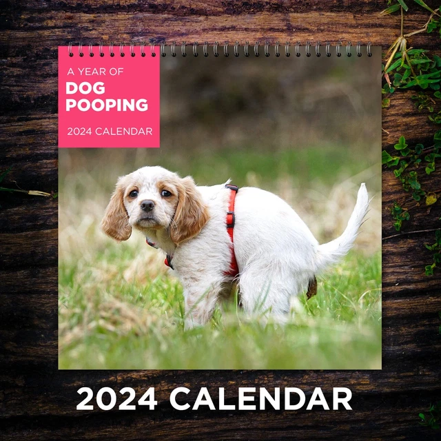 DOGS POOPING CALENDAR 2024, Dog Wall Calendar 2024, Funny Calendar 2024