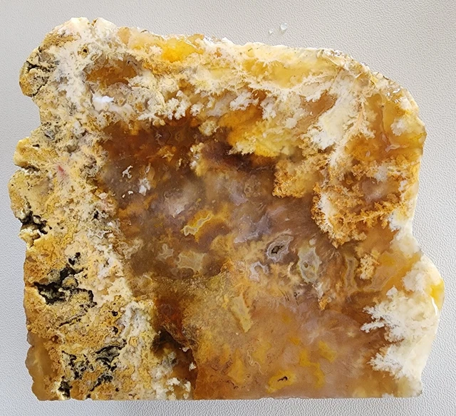 Graveyard Point Plume Agate End Cut face cut rough Old Material Oregon