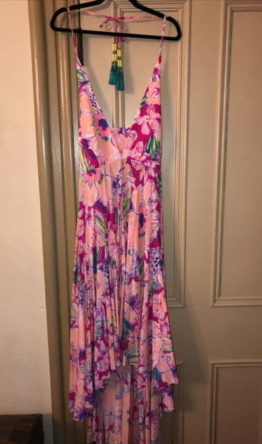 Lilly pulitzer gizelle maxi dress store
