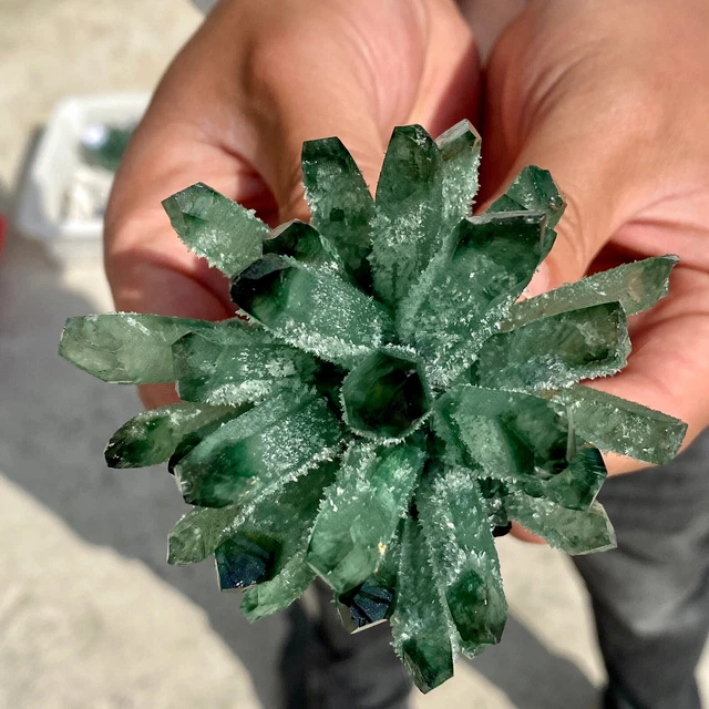 279G New Find Green Phantom Quartz Crystal Cluster Mineral Specimen Healing