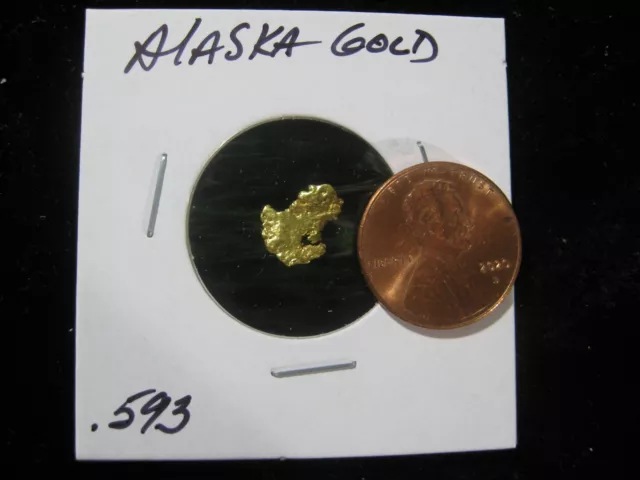 Alaska Gold  .593 Gram