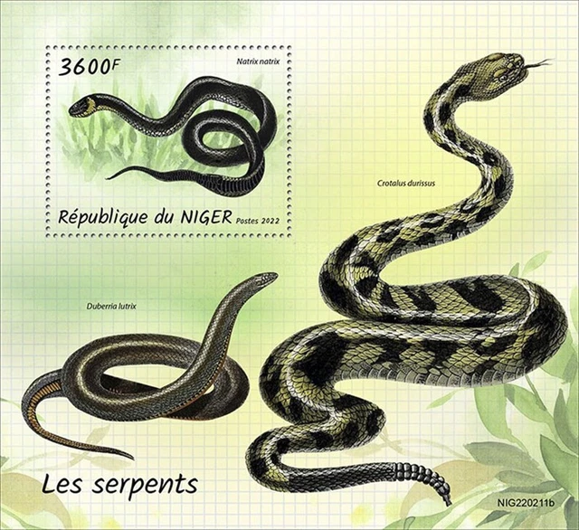Niger - 2022 Gras Schlangen auf Briefmarken - Souvenir Blatt - NIG220211b