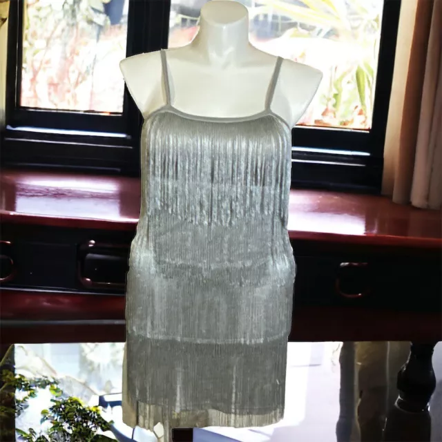 Fringed Silver Dress