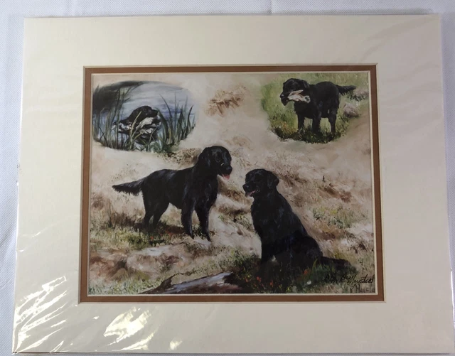 New Flat-Coated Retriever Limited Edition Print 40/499 Size 14” X 11”  Matted