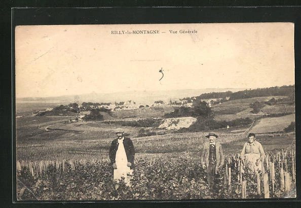CPA Rilly-la-Montagne, General View