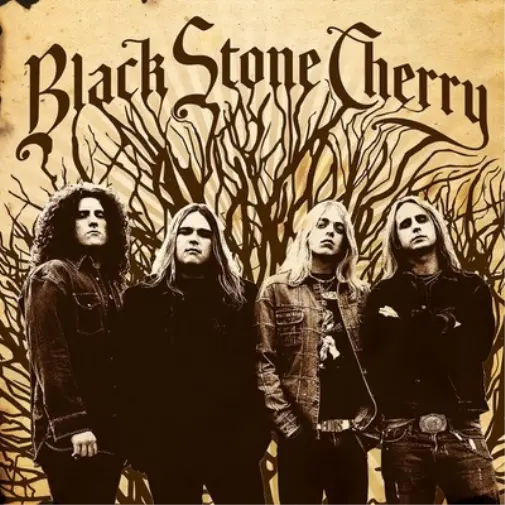 Black Stone Cherry Black Stone Cherry (Vinyl) 12" Album