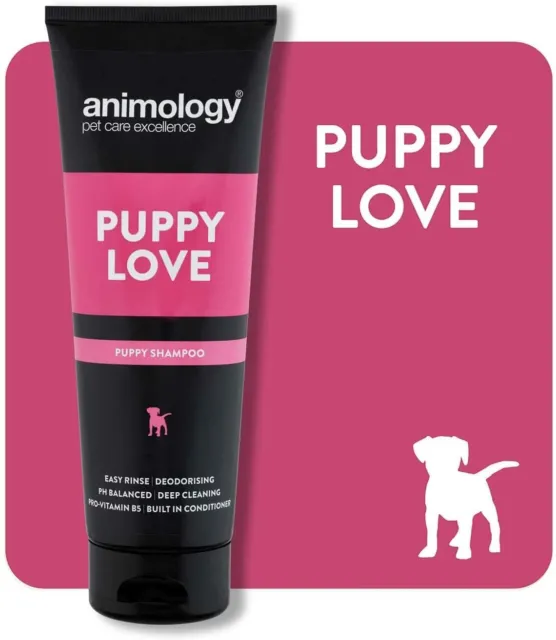 Animology Puppy Love Mild Dog Shampoo, 250 ml (Pack of 1) Deep Cleaning