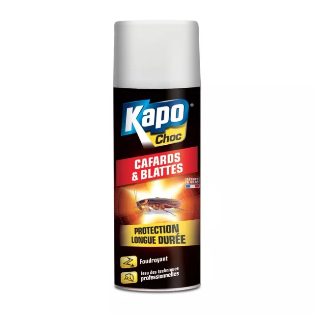 INSECTICIDE ANTI CAFARD BLATTE KAPO foudroyant répulsif