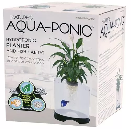 Aquaponic Planter and Aquarium for Betta Fish | Tank Promotes Healthy