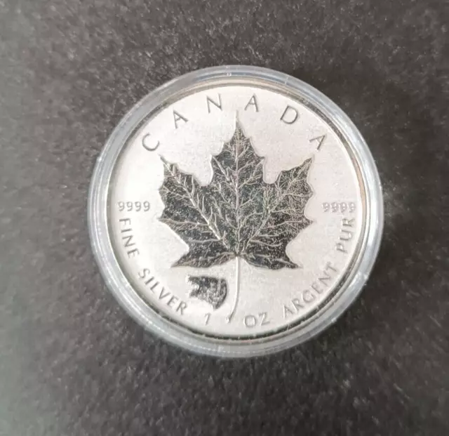 Canada 2016 Maple Leaf Privy Mark Grizzly Bär 1oz Silber Proof 5 Dollars