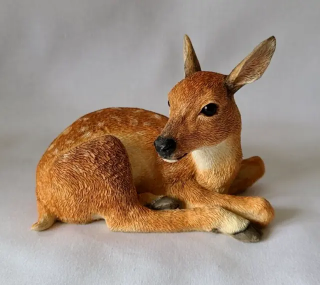 Country Artists Natural World Collection #CA03107 Deer-Lying