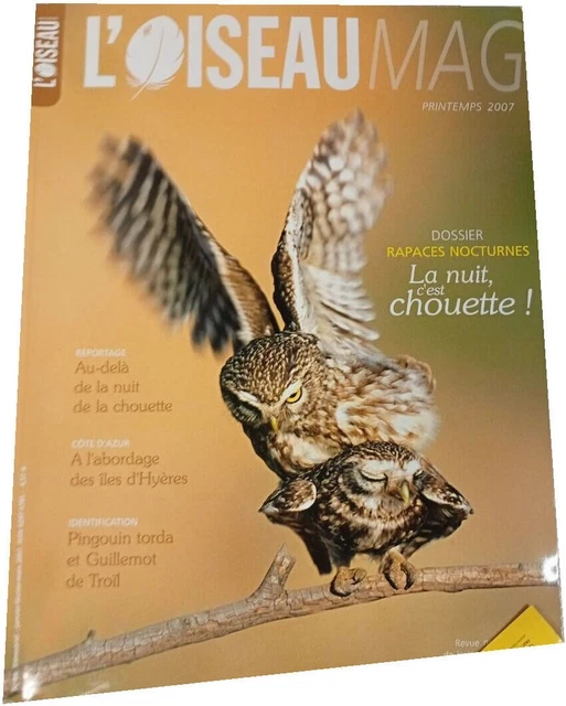 Rapace: Känt mig som en ensam dansbandstjej