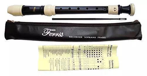 Ferris FR400S Soprano/Descant School Recorder Cleaning Rod Wipe Clean Case Chart