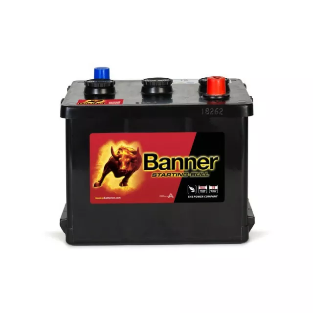 Batterie Auto Banner P6069G 12V 60Ah 420A