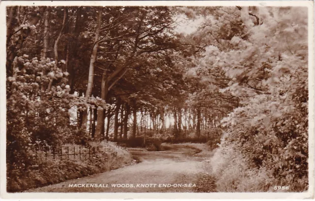 Hackensall Woods, KNOTT END ON SEA, Lancashire RP