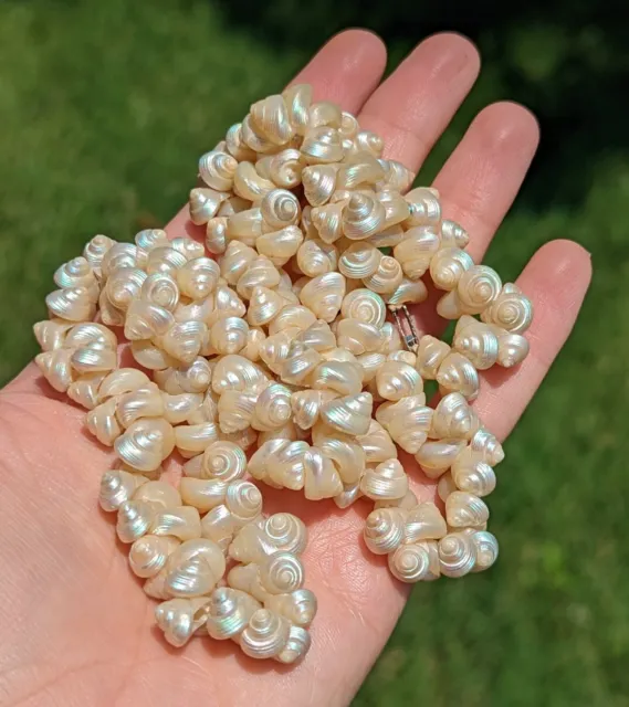 Vintage Iridescent Tiny Seashell Trochus Shell Beaded Necklace 24"