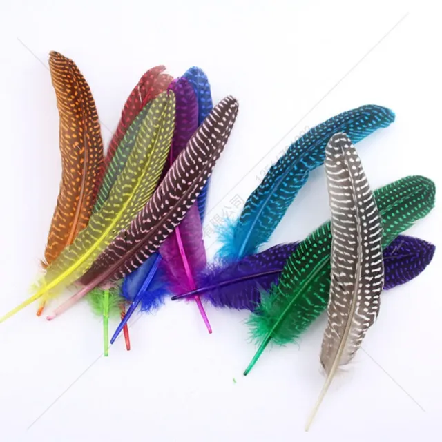 colorful Natural Plumage Feather Multi Color Multi Color Feather  DIY Craft
