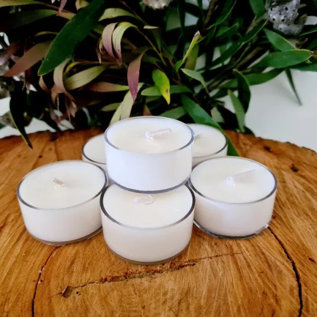 Bulk Wholesale 90 x Clear Coconut Soy Unscented Tealight Candles