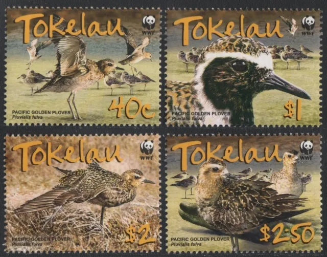 Tokelau 2007 - Mi-Nr. 368-371 ** - MNH - Vögel / Birds