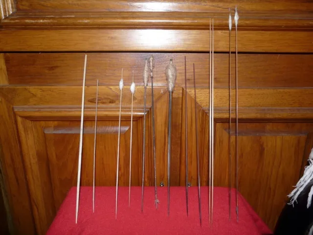 Collection Of 13 Amazon Indian Blowgun Darts