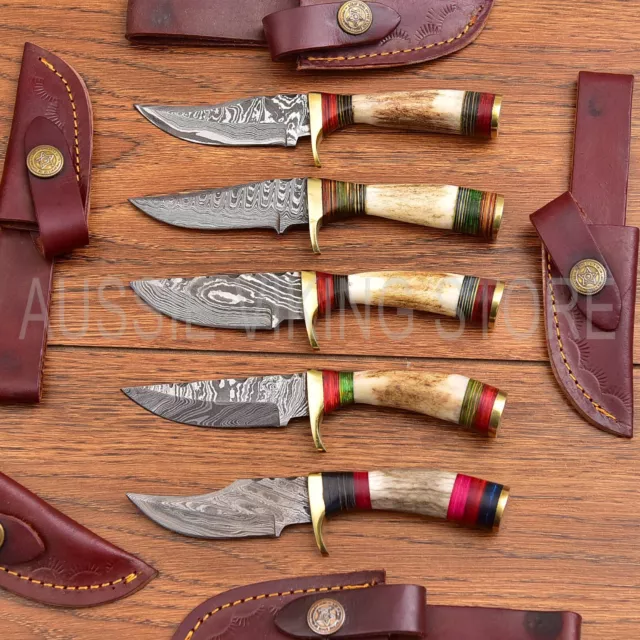 LOT OF 5 CUSTOM Hand Forged Damascus Steel Hunting Skinner Knife STAG/ANTLER 111