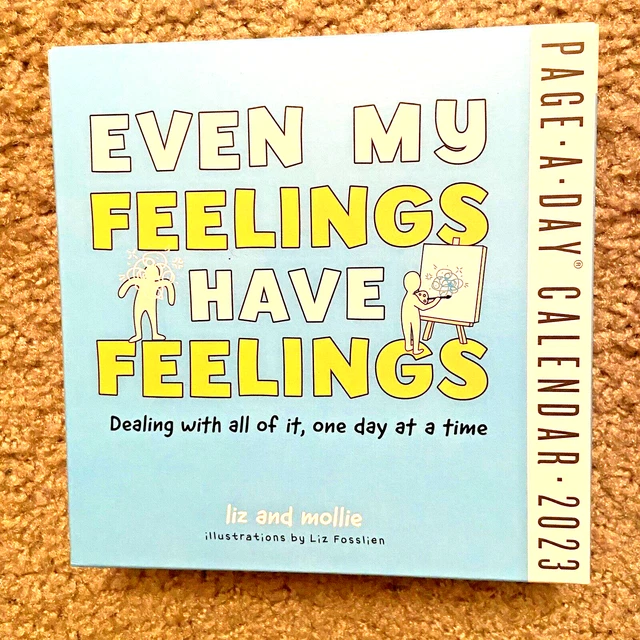 EVEN MY FEELINGS Have Feelings PageADay 2023 Calendar 8.48 PicClick